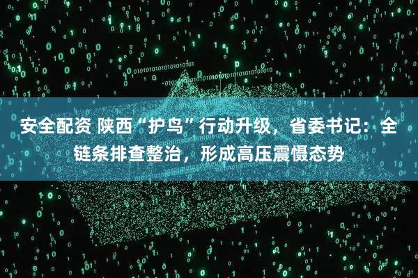 安全配资 陕西“护鸟”行动升级，省委书记：全链条排查整治，形成高压震慑态势