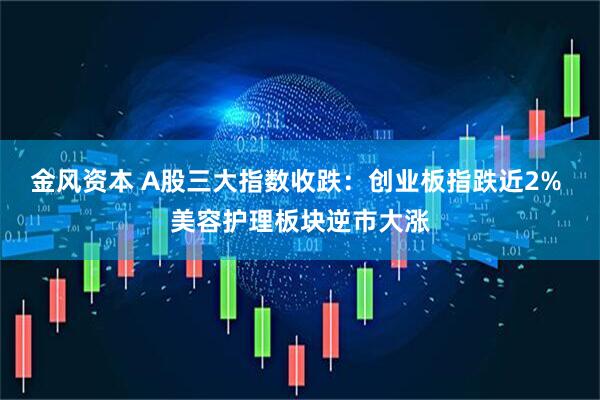 金风资本 A股三大指数收跌：创业板指跌近2% 美容护理板块逆市大涨