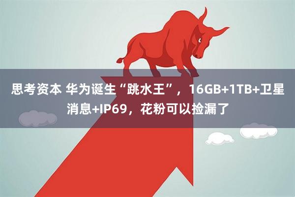 思考资本 华为诞生“跳水王”，16GB+1TB+卫星消息+IP69，花粉可以捡漏了