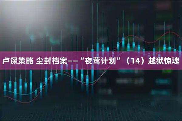 卢深策略 尘封档案——“夜莺计划”（14）越狱惊魂