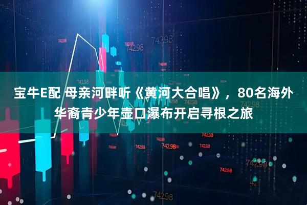 宝牛E配 母亲河畔听《黄河大合唱》，80名海外华裔青少年壶口瀑布开启寻根之旅